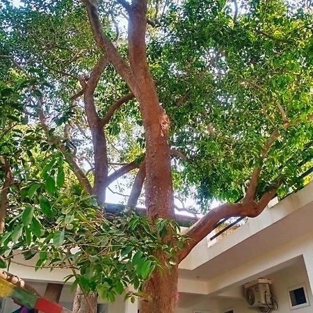 Green Hub Pushkar Villa Eksteriør billede