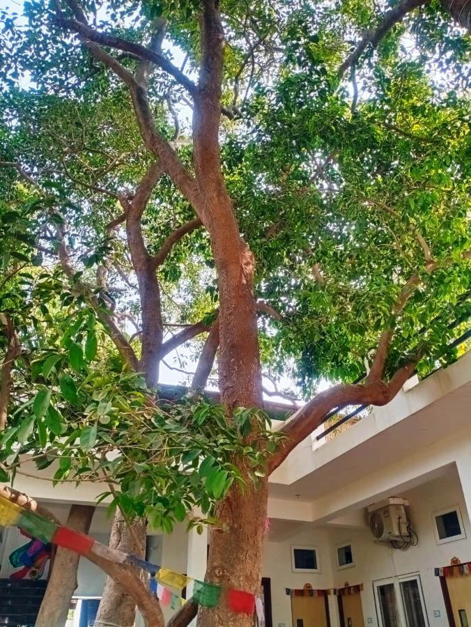 Green Hub Pushkar Villa Eksteriør billede